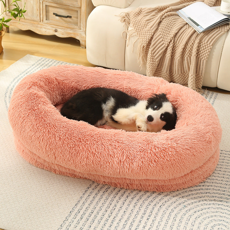 dog bed