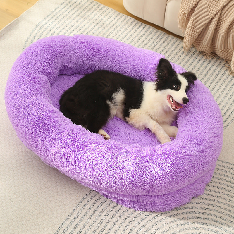 dog bed