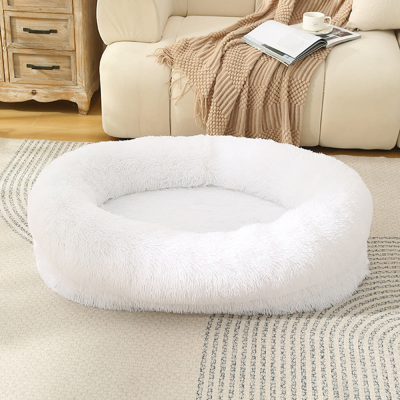 dog bed