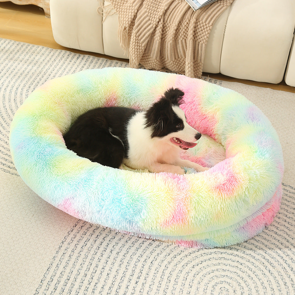 dog bed