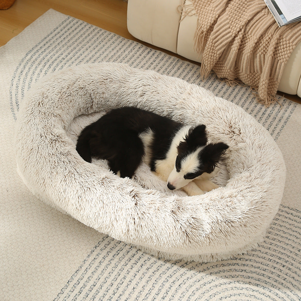 dog bed