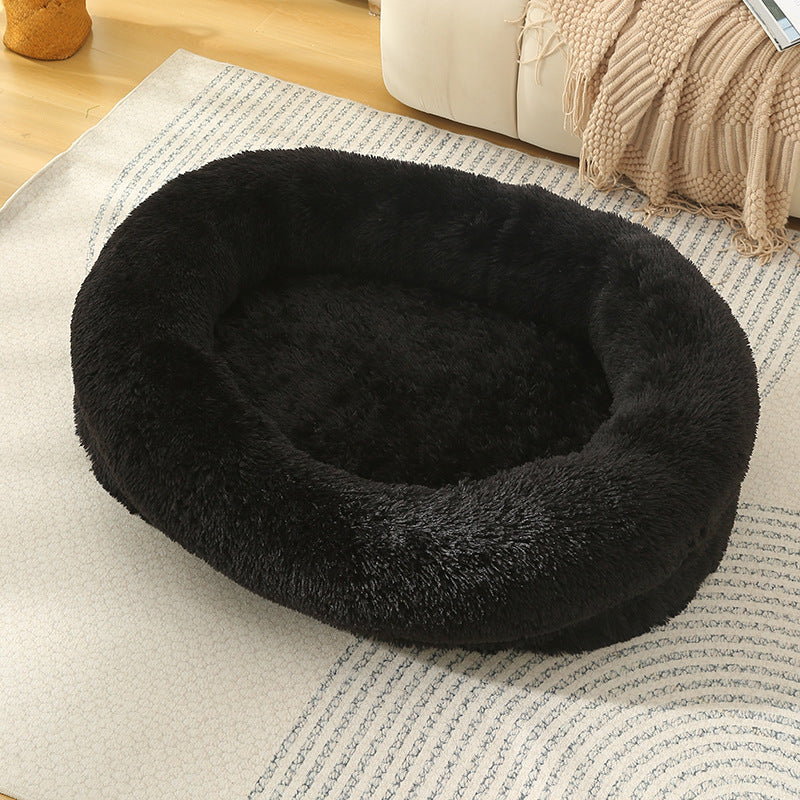 dog bed