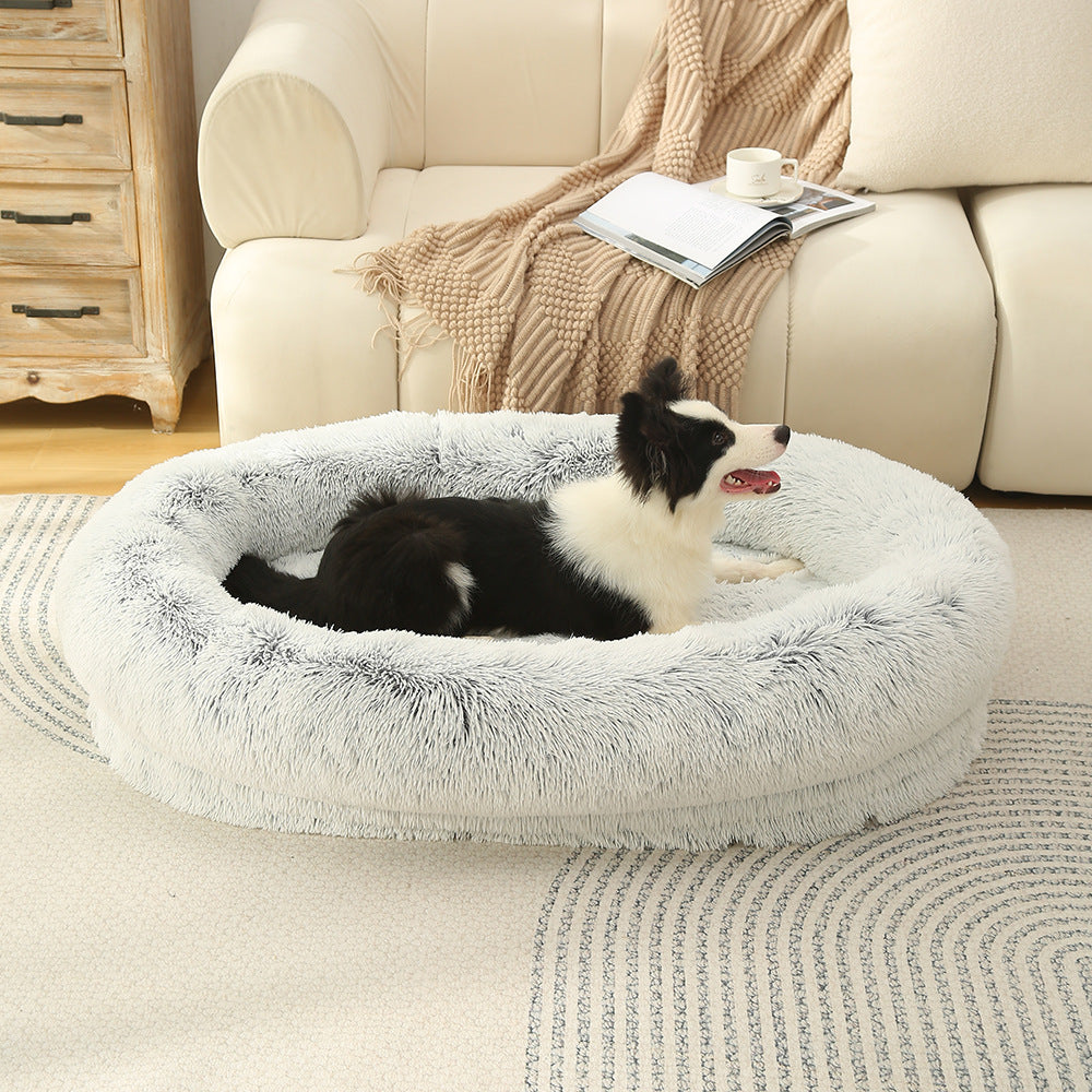 dog bed