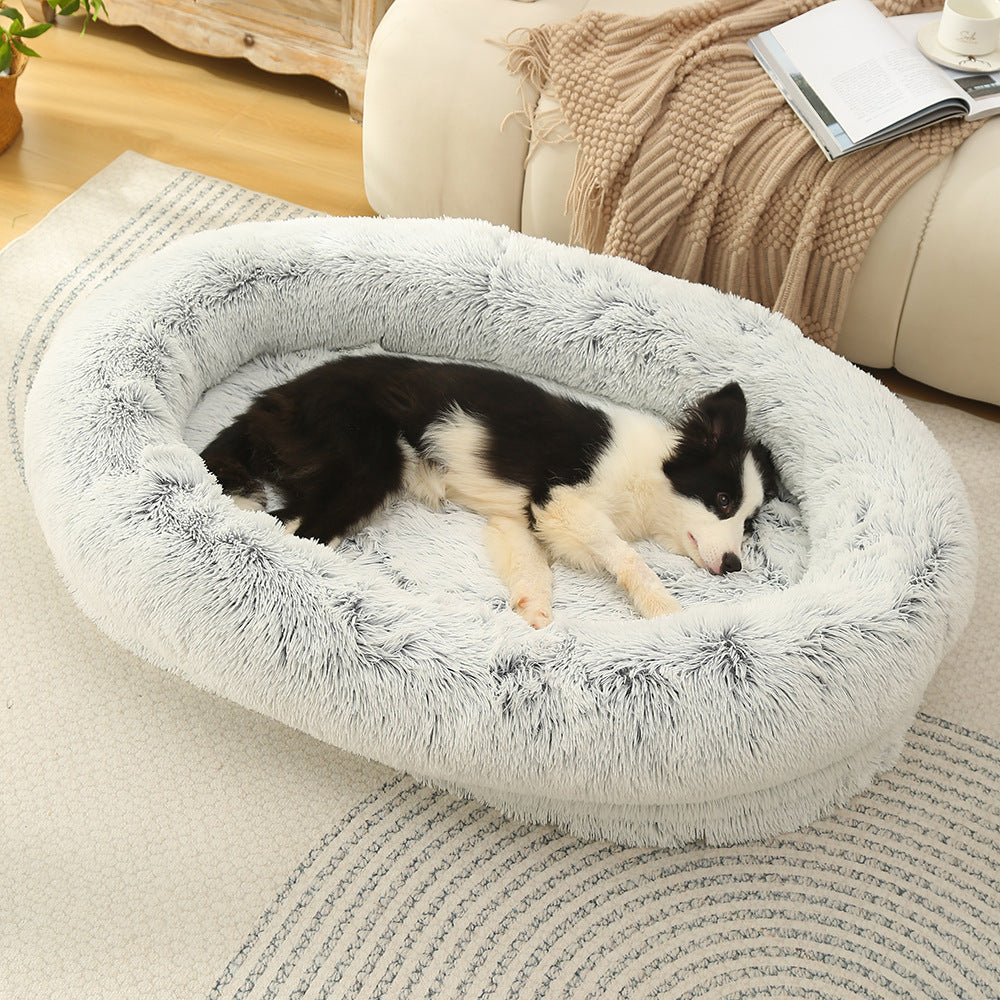 dog bed