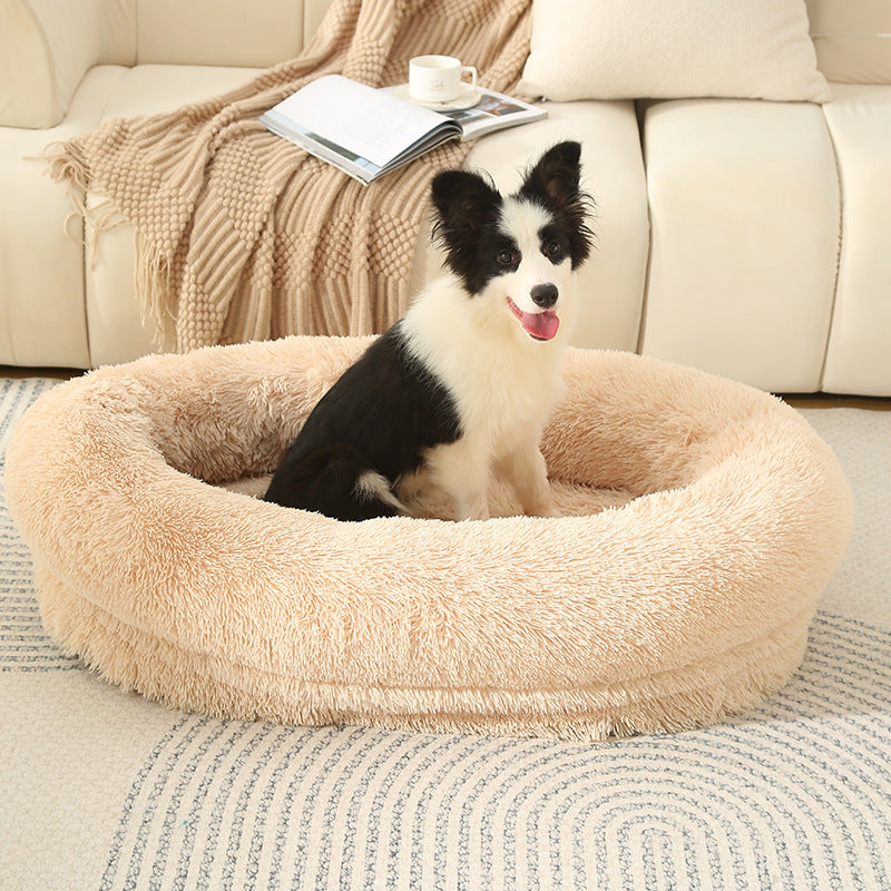 dog bed