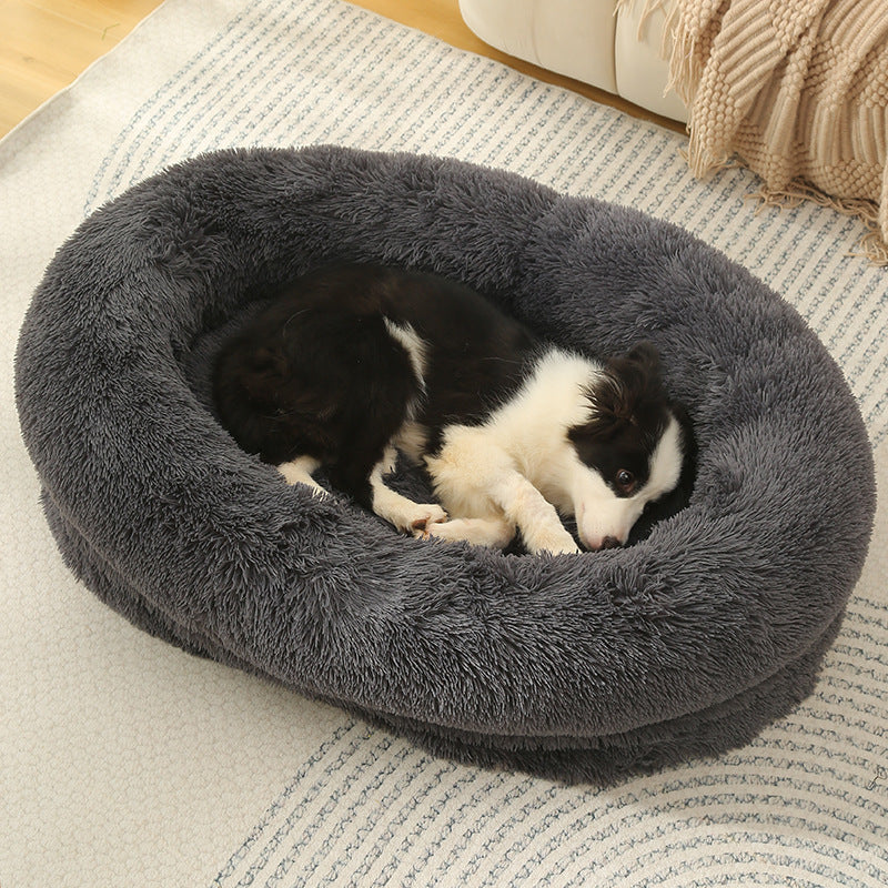 dog bed