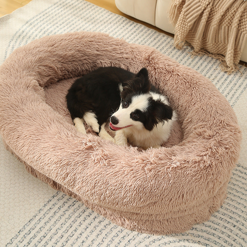 dog bed