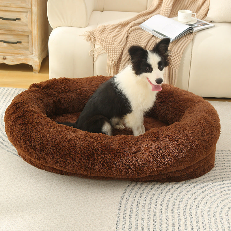 dog bed