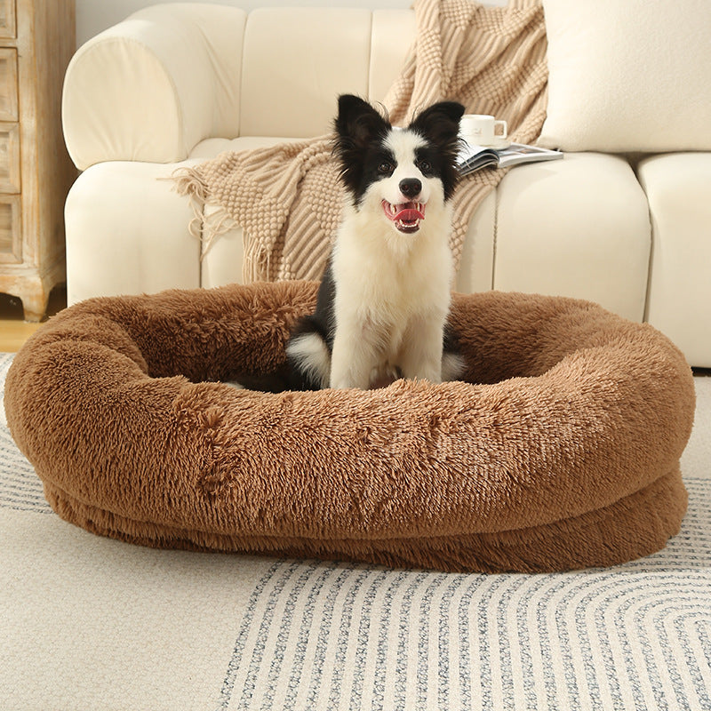 dog bed